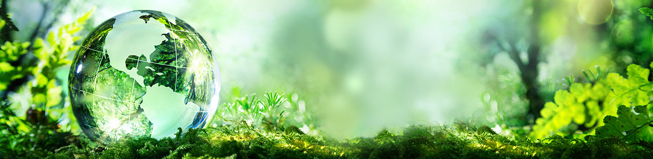 Klimabeitrag Bannerbild